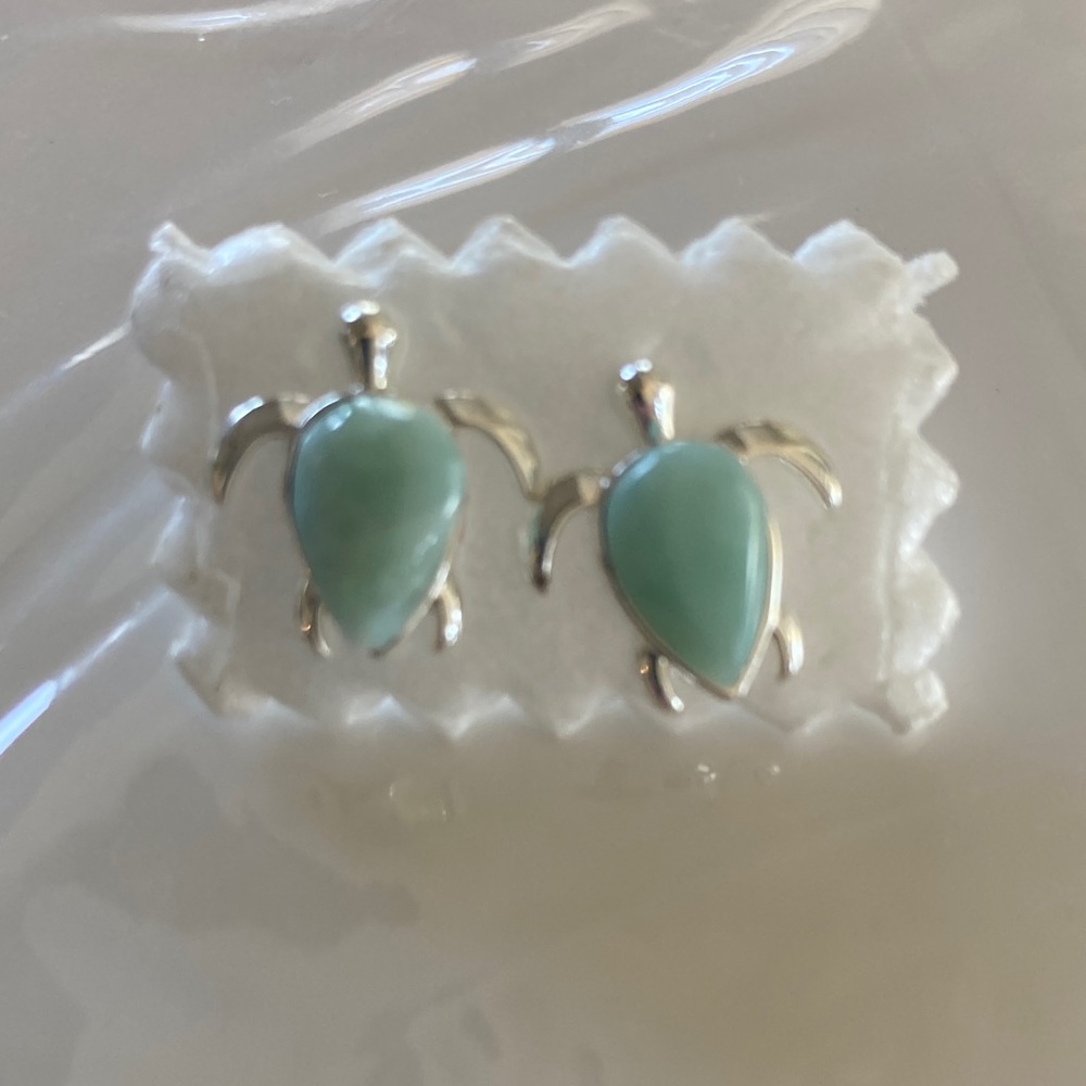 Earrings Turtle Larimar
